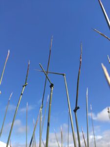 Read more about the article Vivace resucita la fuente de los nudos